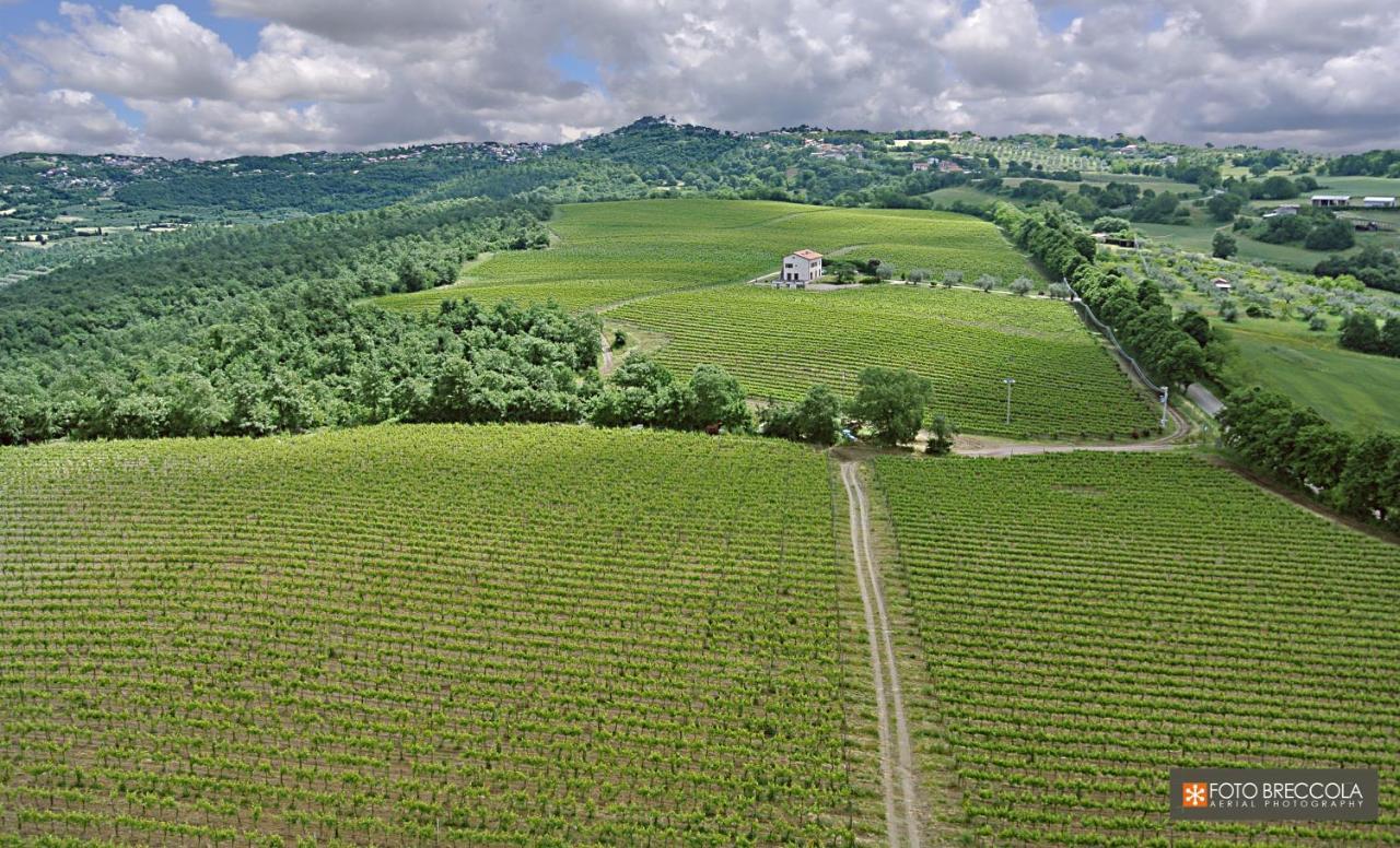 Agriturismo Vigna Sul Lago モンテフィアスコーネ エクステリア 写真
